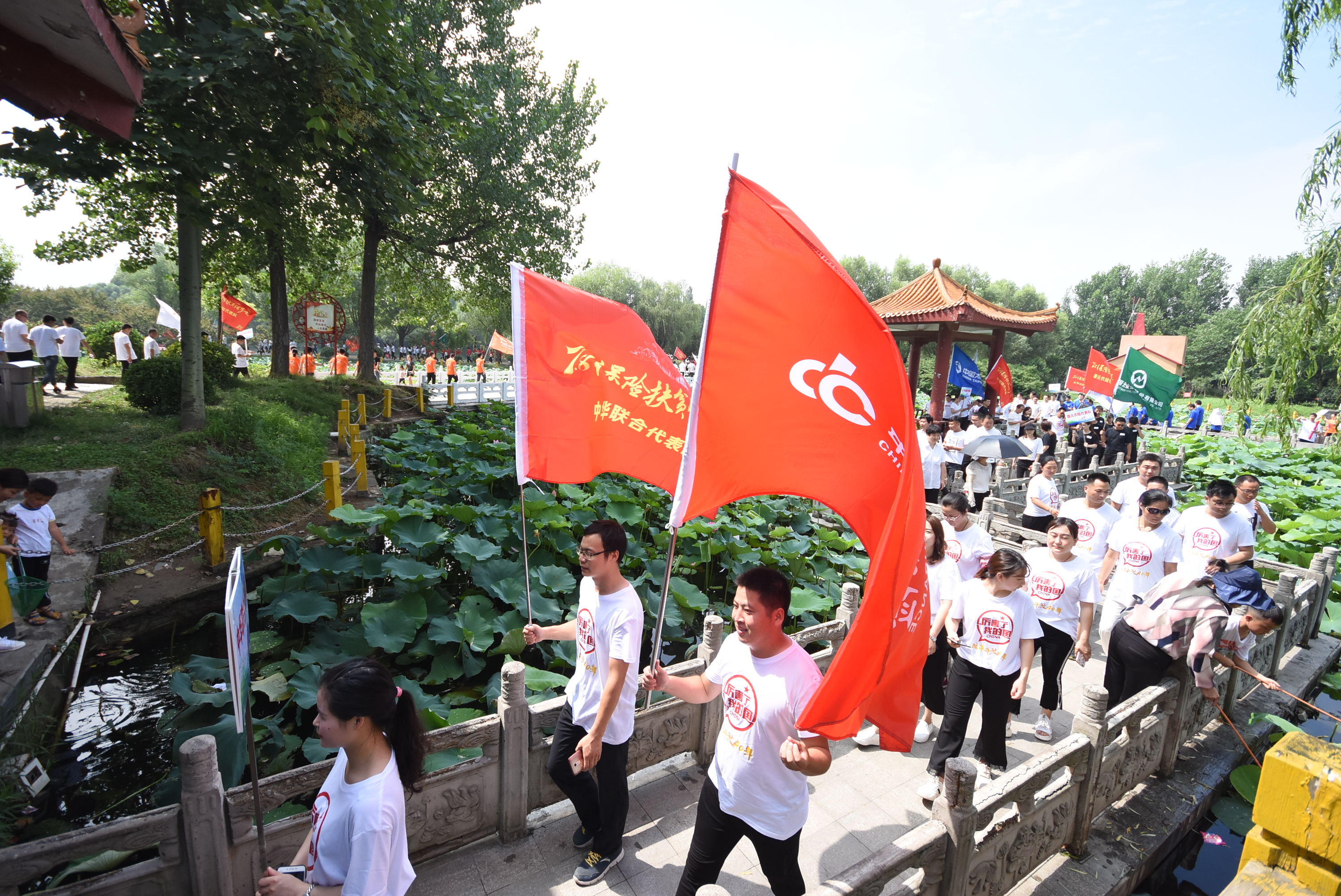 穿越荷花池.jpg