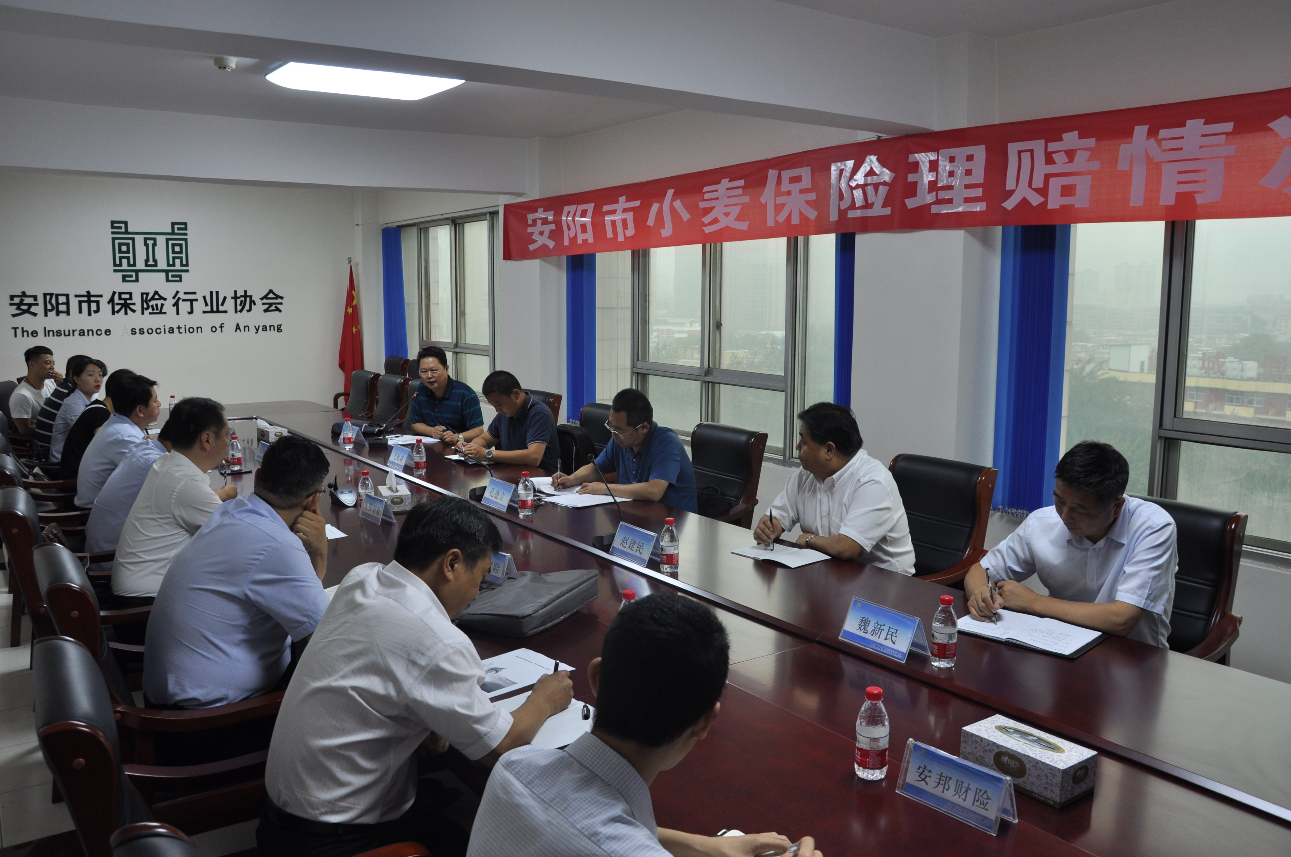 河南保监局孔德立处长在安阳协会召开小麦保险理赔工作座谈会.jpg